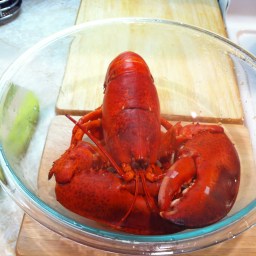 Lobstahs. Just Because.